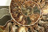 Cut & Polished, Agatized Ammonite Fossil - Madagascar #207434-6